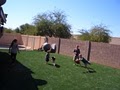 Arizona Turf Solutions & Putting Greens image 3