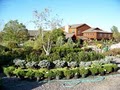 Aspinall's Landscaping and Tree Nursery image 4