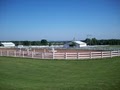 Avalon Equestrians image 2
