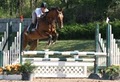 Avalon Equestrians image 4