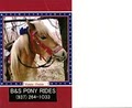 B S Pony Rides image 2