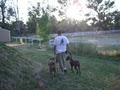Beckman's Dog Training/Boarding image 10