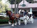 Best Western Ocala Park Centre image 5