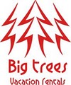 Big Trees Realty image 4