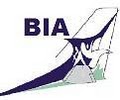 Bimini Island Air logo