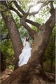 Birdsong Wedding Photography image 8
