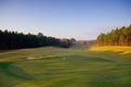 Birmingham Golf Course – Ballantrae Golf Club image 2