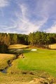 Birmingham Golf Course – Ballantrae Golf Club image 6