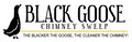 Black Goose Chimney Sweep image 6