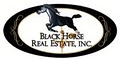 Black Horse Real Estate Inc image 2
