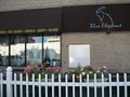 Blue Elephant Kitchen logo
