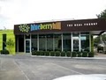 BlueBerryHill "The Real Yogurt" image 1