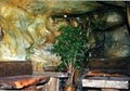 Bohemian Caverns image 4
