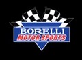 Borelli Motor Sport image 3
