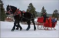 Breckenridge Sleigh Rides logo