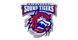 Bridgeport Sound Tigers logo