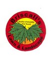 Briscall's Lawn & Landscape logo