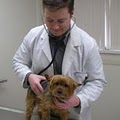 Brockton Animal Hospital image 7