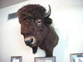 Buffalo Grille image 5