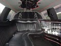 CELEBRITY LIMOBUS image 9