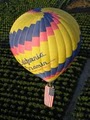 California Dreamin' Balloon Adventures image 2