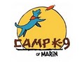 Camp K-9 of Marin image 2