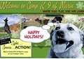 Camp K-9 of Marin image 4