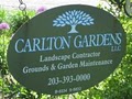 Carlton Gardens Landscaping & Garden Design image 5