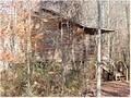 Cavender Creek Cabins image 6