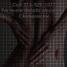 Chiro Plus Chiropractic image 4