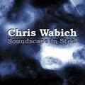 Chris Wabich: Steel Drums image 9