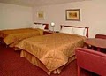 Comfort Inn Airport at RJ Stadium Tampa image 9