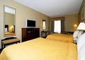 Comfort Inn & Suites Airport image 3