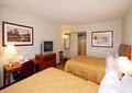 Comfort Inn & Suites Downtown Lakeshore image 4