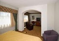Comfort Inn & Suites Downtown Lakeshore image 5