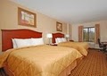 Comfort Inn & Suites image 2