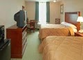 Comfort Inn University image 1