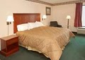 Comfort Inn image 3