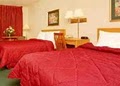 Comfort Inn image 7