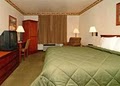 Comfort Inn image 9