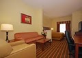 Comfort Suites image 8