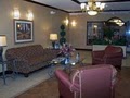 Comfort Suites image 9