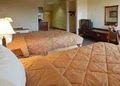 Comfort Suites image 10