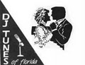 D J Tunes of Florida logo