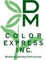 D M Color Express Inc logo