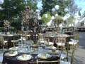 DEL REY PARTY RENTALS INC. image 2