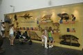 Delaware Museum-Natural History logo
