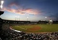 Dell Diamond logo