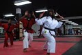 Detroit Martial Arts Institute image 6
