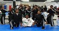 Detroit Martial Arts Institute image 7